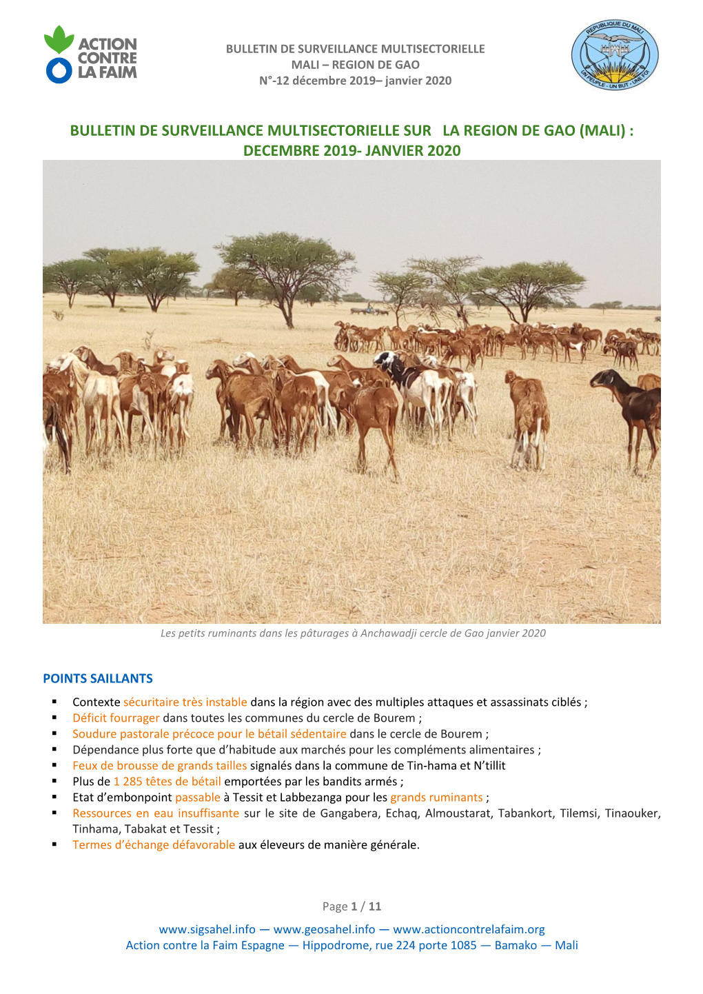 Bulletin De Surveillance Multisectorielle Sur La Region De Gao (Mali) : Decembre 2019- Janvier 2020