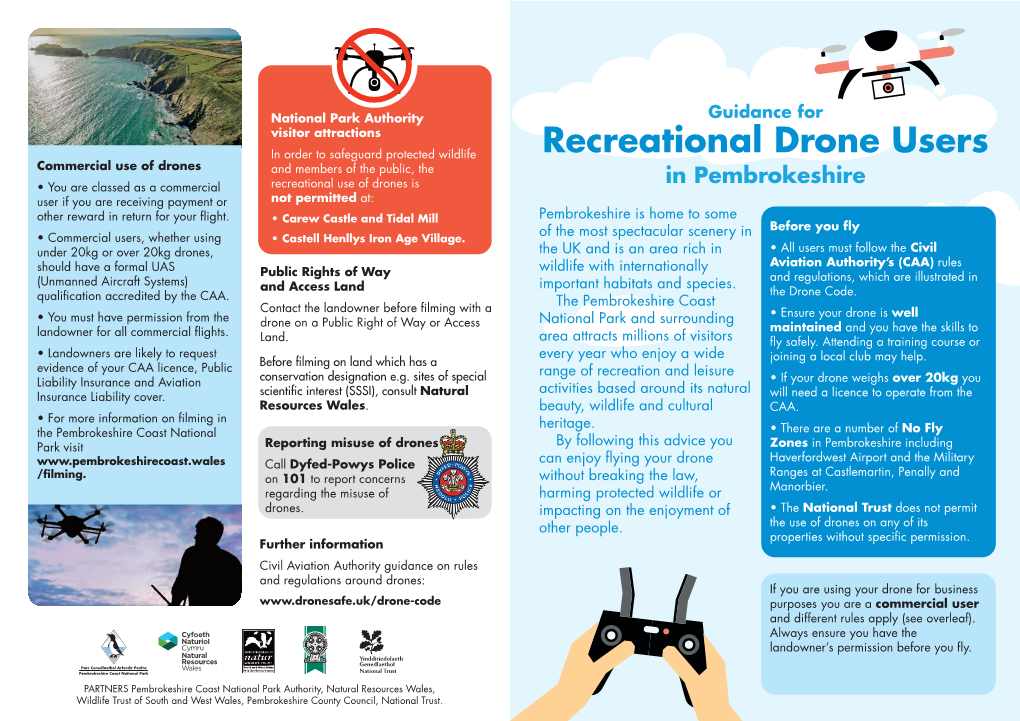 Recreational Drone Users