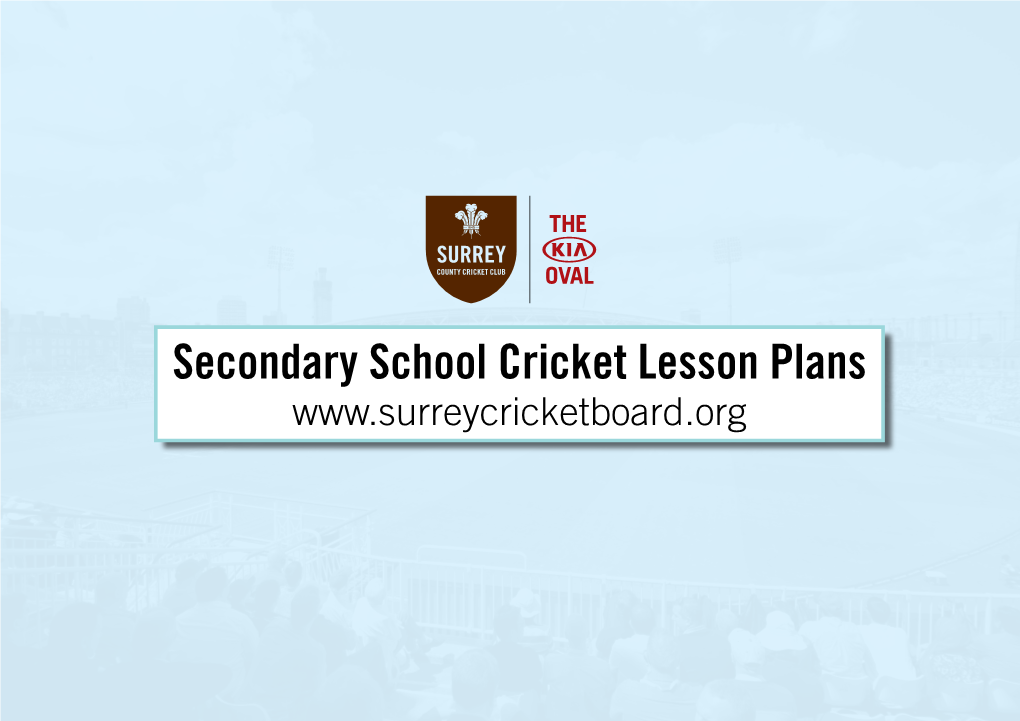 Secondary School Cricket Lesson Plans HOMEWORK