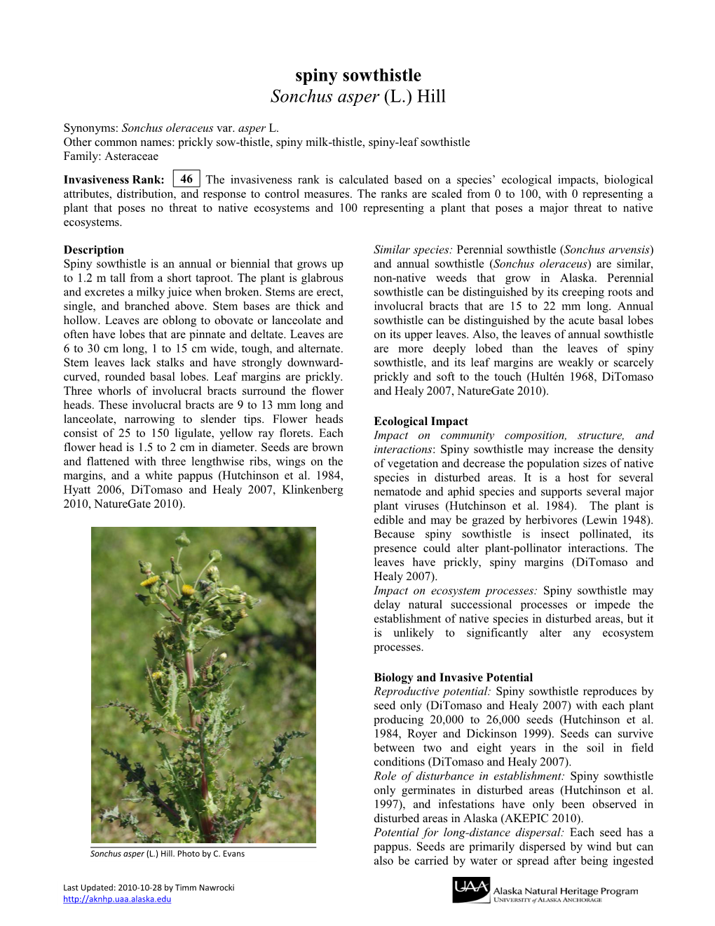 Spiny Sowthistle Sonchus Asper (L.) Hill