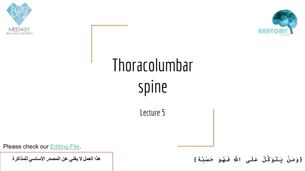 Thoracolumbar Spine