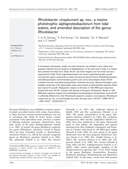 Rhodobacter Vinaykumarii Sp. Nov., a Marine Phototrophic Alphaproteobacterium from Tidal Waters, and Emended Description of the Genus Rhodobacter