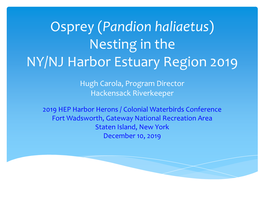 Osprey Nesting in the Harbor Estuary Region 2019