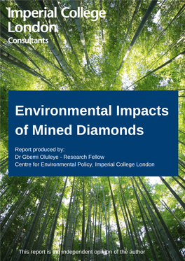 Environmental Impacts of Mined Diamonds