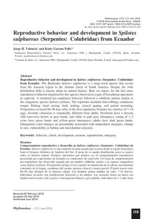 Reproductive Behavior and Development in Spilotes Sulphureus (Serpentes: Colubridae) from Ecuador