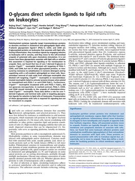 O-Glycans Direct Selectin Ligands to Lipid Rafts on Leukocytes