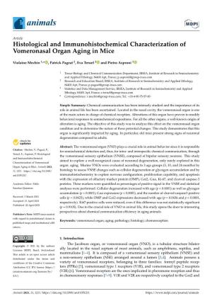 Histological and Immunohistochemical Characterization of Vomeronasal Organ Aging in Mice