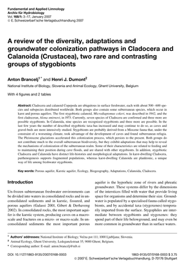 A Review of the Diversity, Adaptations and Groundwater Colonization Pathways in Cladocera and Calanoida (Crustacea), Two Rare and Contrasting Groups of Stygobionts