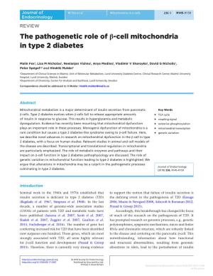 The Pathogenetic Role of Β-Cell Mitochondria in Type 2 Diabetes