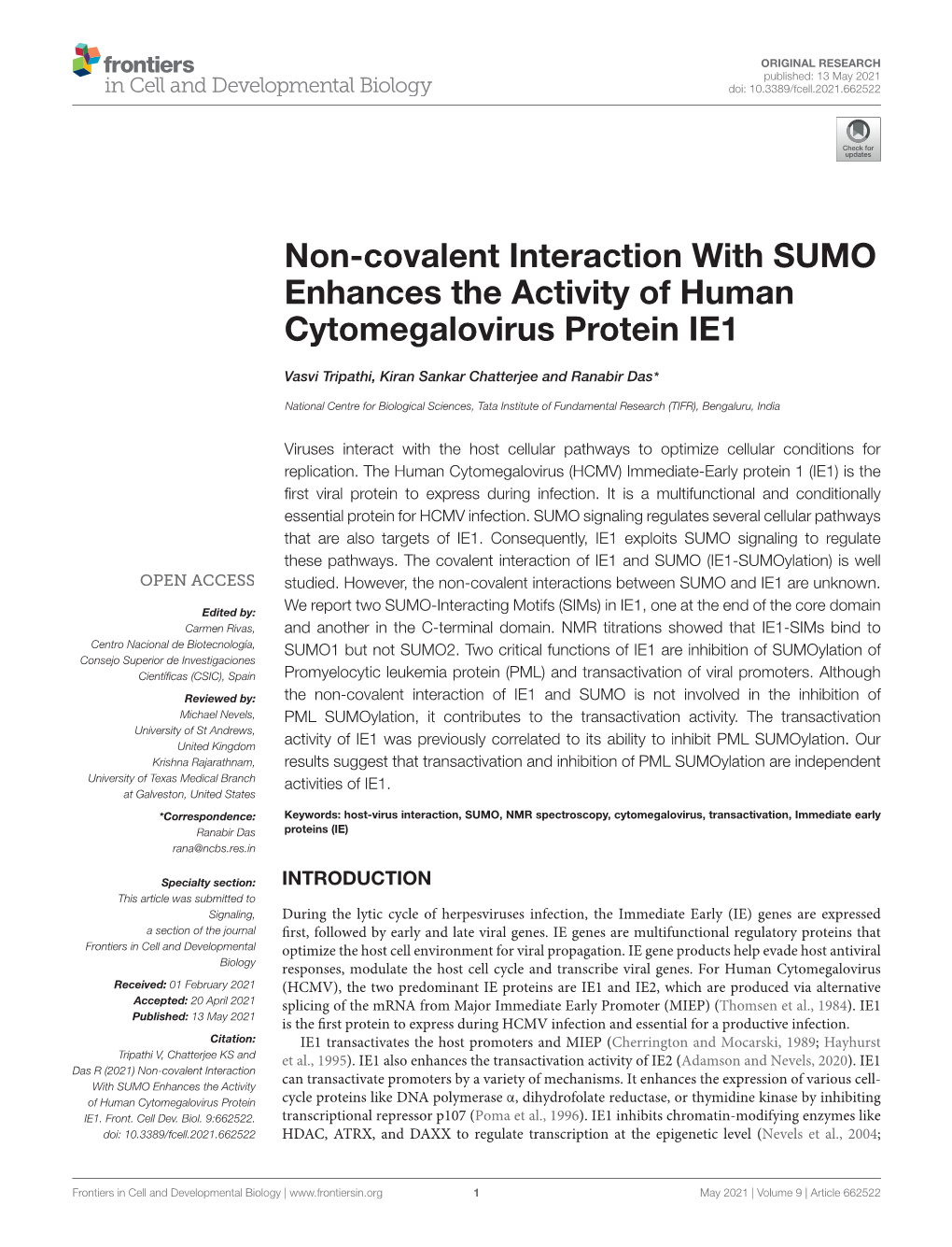 Non-Covalent Interaction with SUMO Enhances the Activity of Human Cytomegalovirus Protein IE1