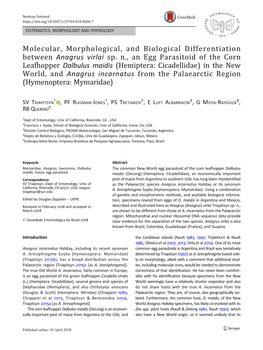 Molecular, Morphological, and Biological Differentiation Between Anagrus Virlai Sp