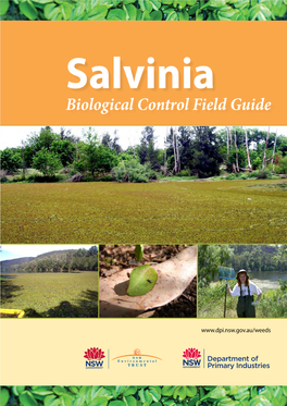 Salvinia Biological Control Field Guide