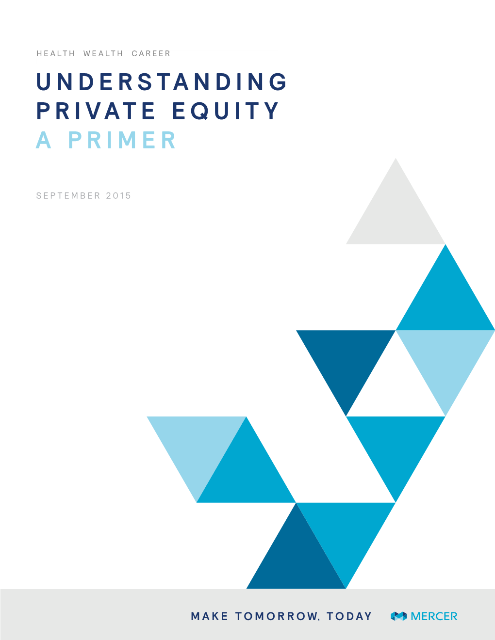 Understanding Private Equity a Primer