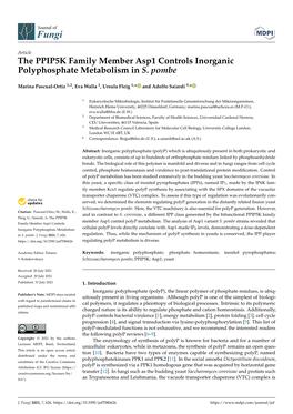 The PPIP5K Family Member Asp1 Controls Inorganic Polyphosphate Metabolism in S