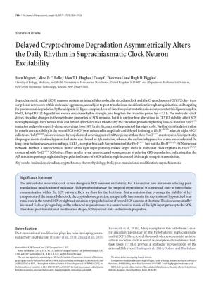 Delayed Cryptochrome Degradation Asymmetrically Alters the Daily Rhythm in Suprachiasmatic Clock Neuron Excitability