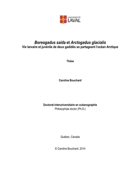 Boreogadus Saida Et Arctogadus Glacialis Vie Larvaire Et Juvénile De Deux Gadidés Se Partageant L’Océan Arctique