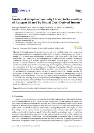 Innate and Adaptive Immunity Linked to Recognition of Antigens Shared by Neural Crest-Derived Tumors
