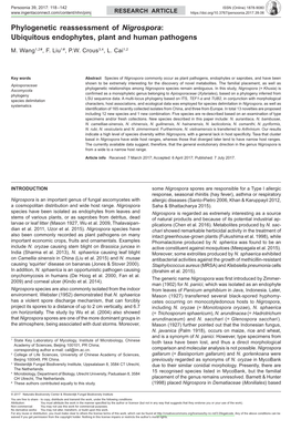 Phylogenetic Reassessment of &lt;I&gt; Nigrospora&lt;/I&gt;