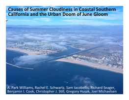 Causes of Summer Cloudiness in Coastal Southern California and the Urban Doom of June Gloom
