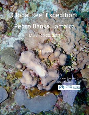 Global Reef Expedition Pedro Bank, Jamaica Field Report