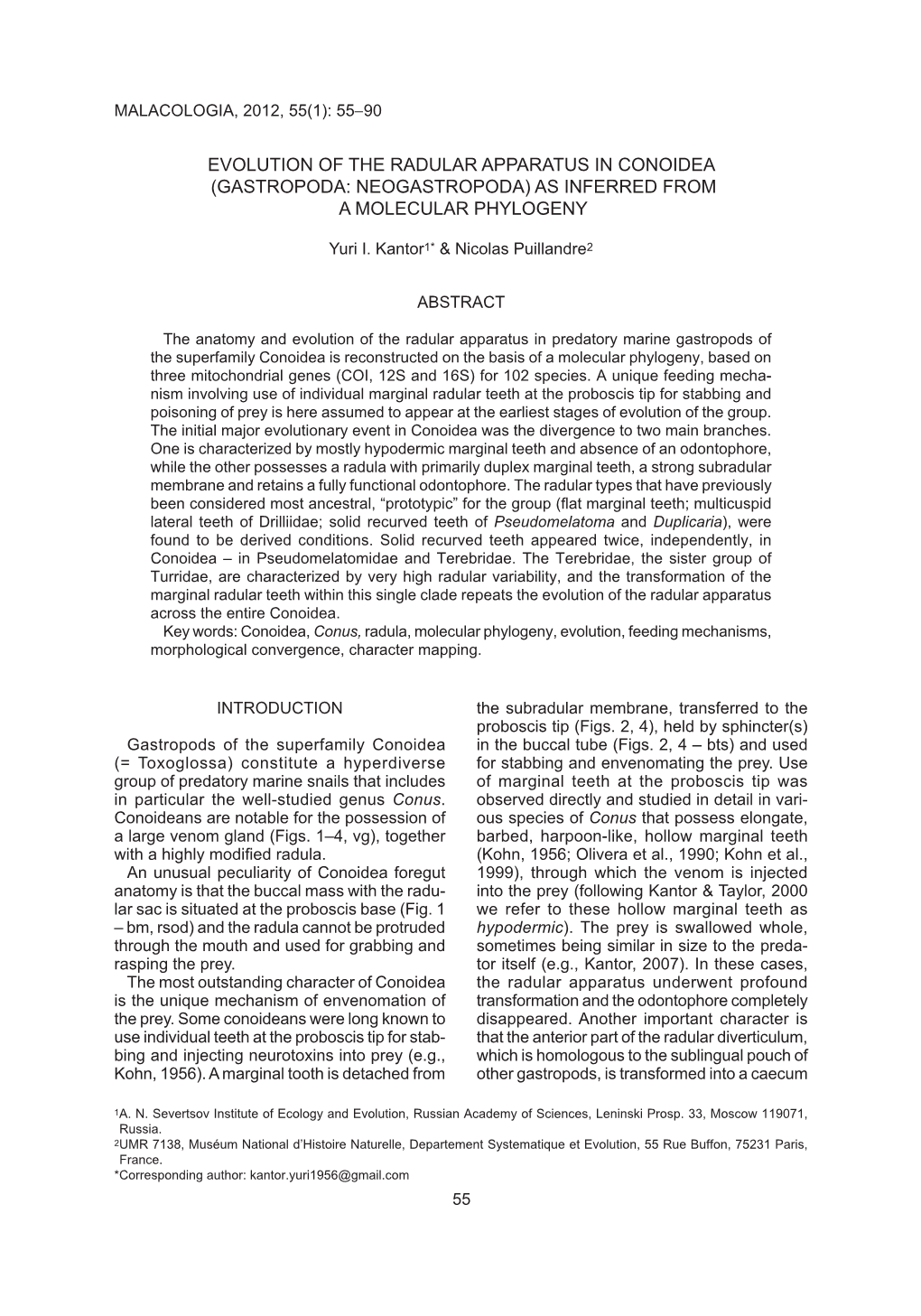 Evolution of the Radular Apparatus in Conoidea (Gastropoda: Neogastropoda) As Inferred from a Molecular Phylogeny