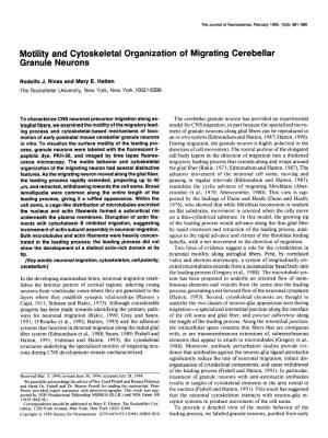Motility and Cytoskeletal Organization of Migrating Cerebellar Granule Neurons