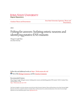 Isolating Enteric Neurons and Identifying Putative ENS Mutants Margaret Leigh Kline Iowa State University