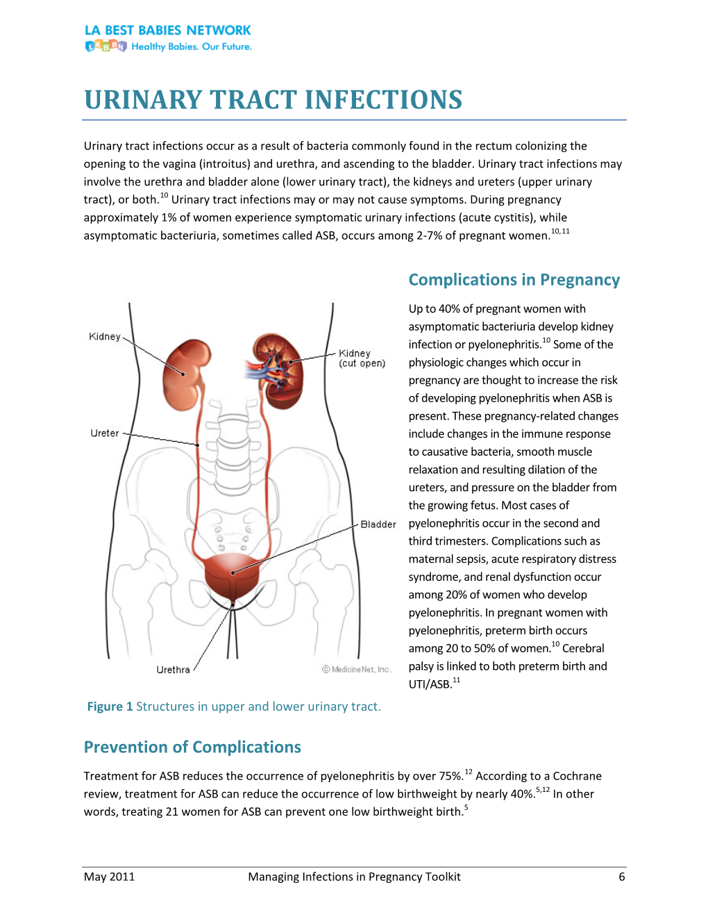 Urinary Tract Infections