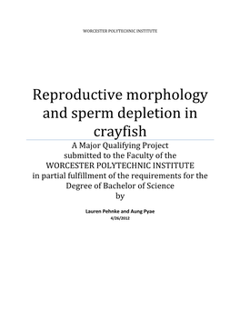 Reproductive Morphology and Sperm Depletion in Crayfish