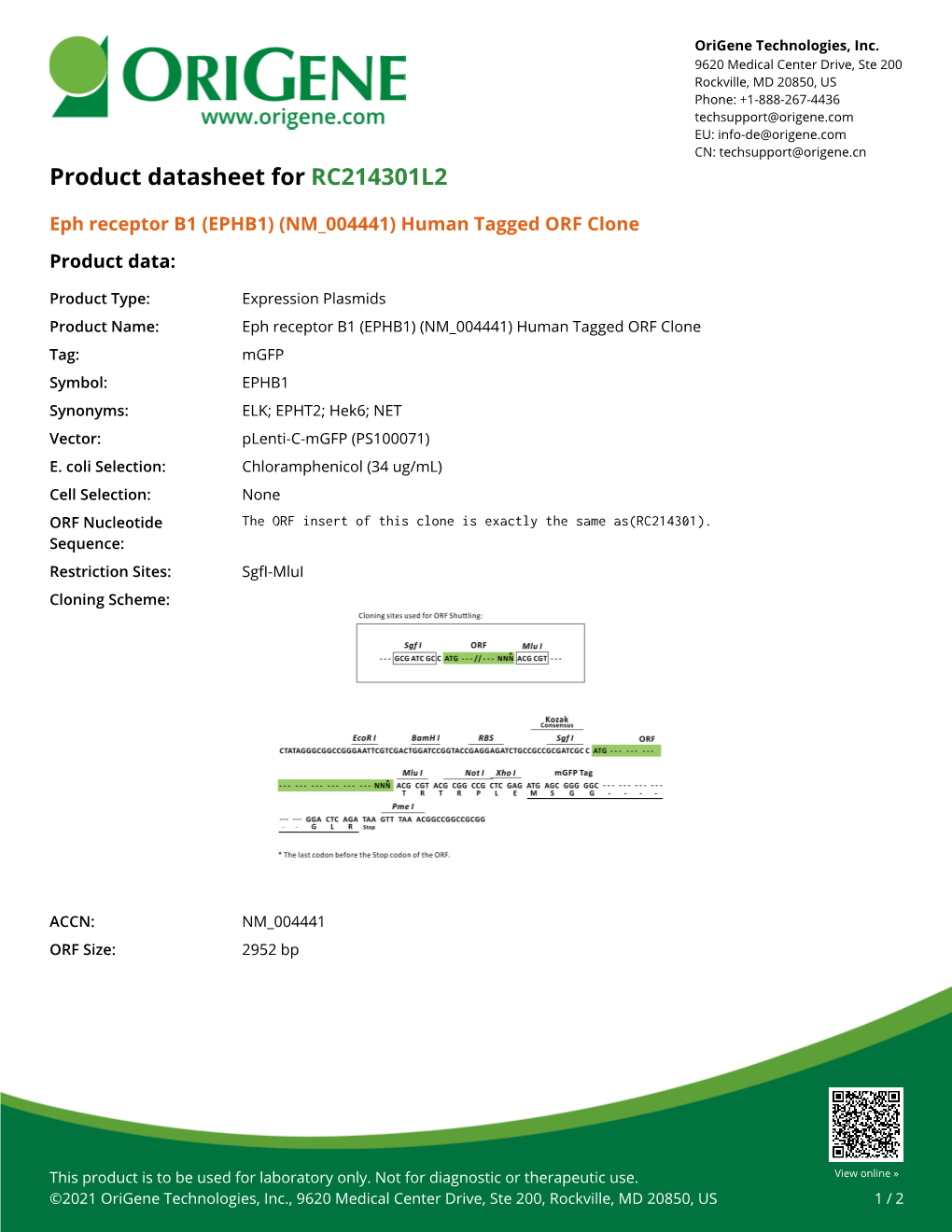 Eph Receptor B1 (EPHB1) (NM 004441) Human Tagged ORF Clone Product Data