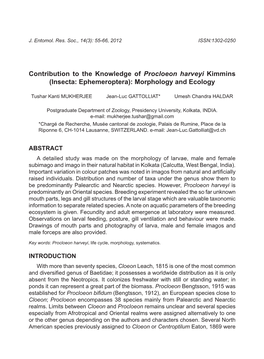 Contribution to the Knowledge of Procloeon Harveyi Kimmins (Insecta: Ephemeroptera): Morphology and Ecology