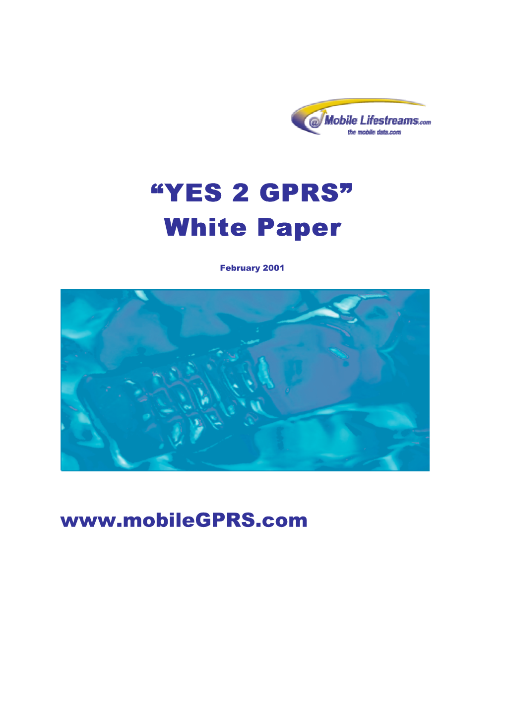 YES 2 GPRS” White Paper