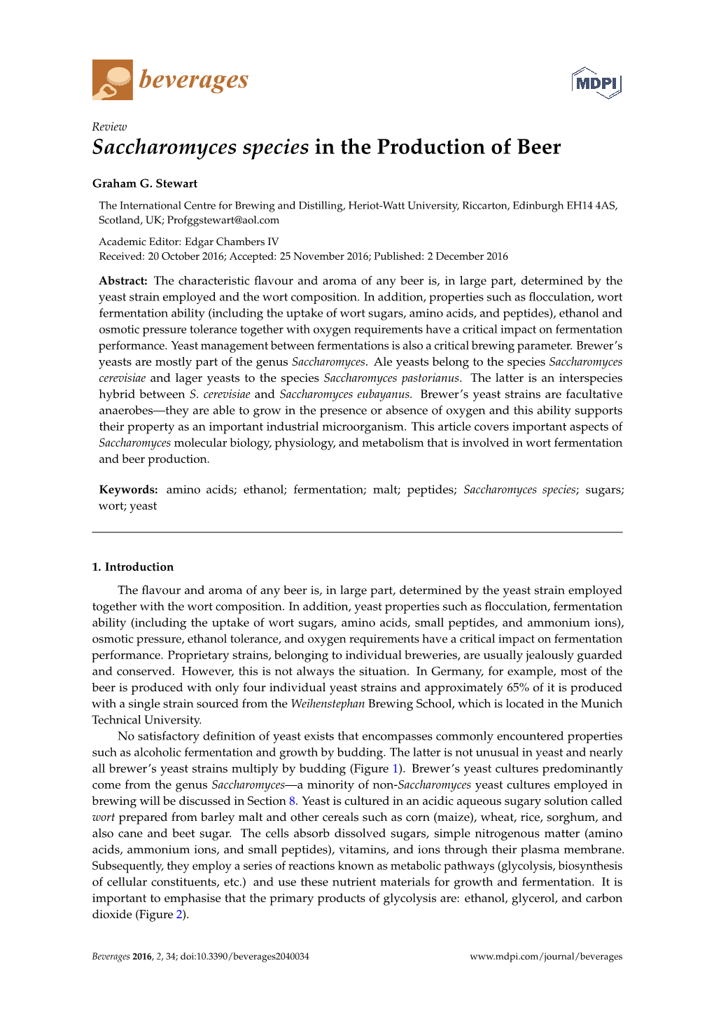 Saccharomyces Species in the Production of Beer