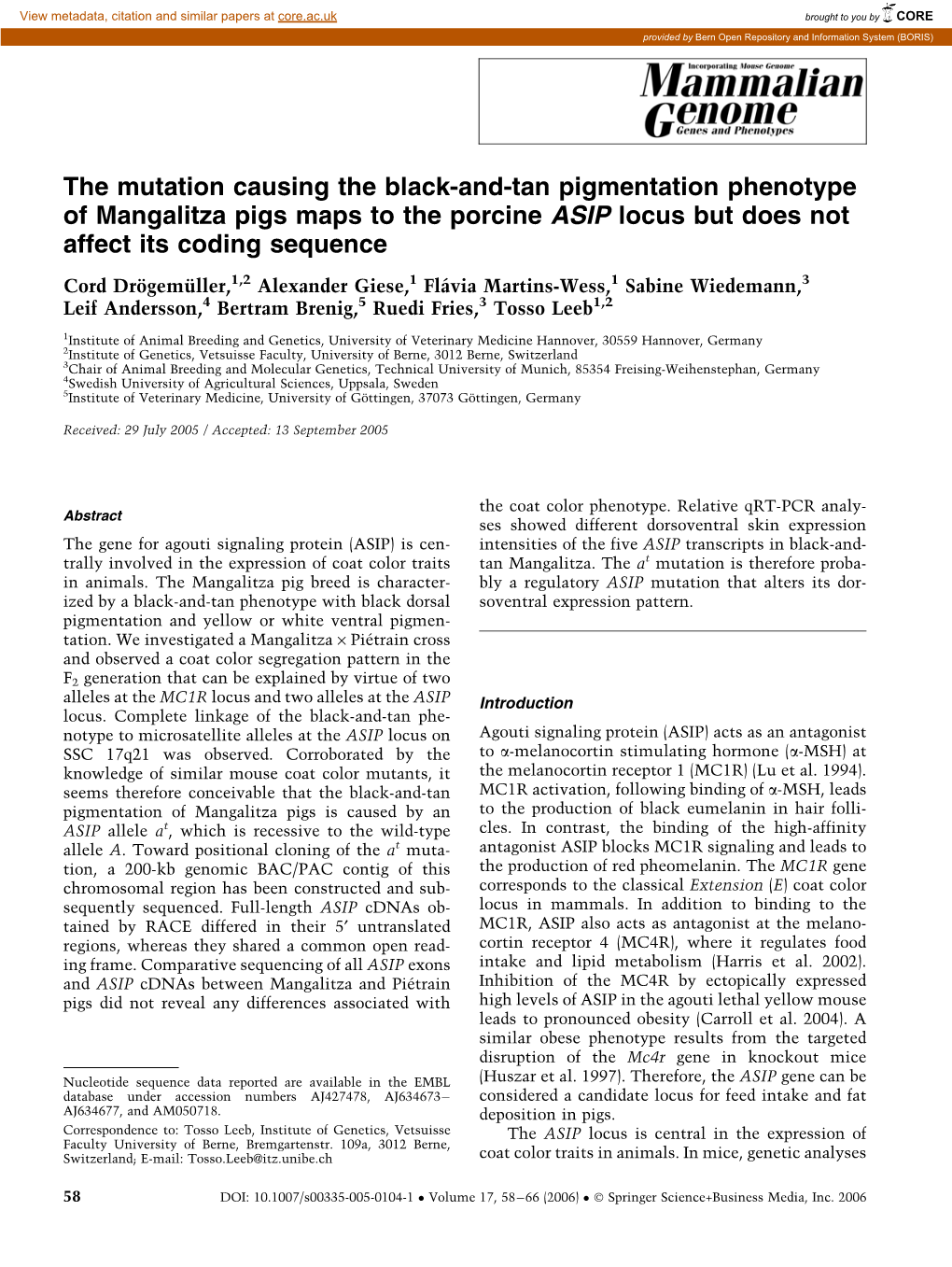 The Mutation Causing the Black-And-Tan Pigmentation Phenotype of Mangalitza Pigs Maps to the Porcine ASIP Locus but Does Not Affect Its Coding Sequence