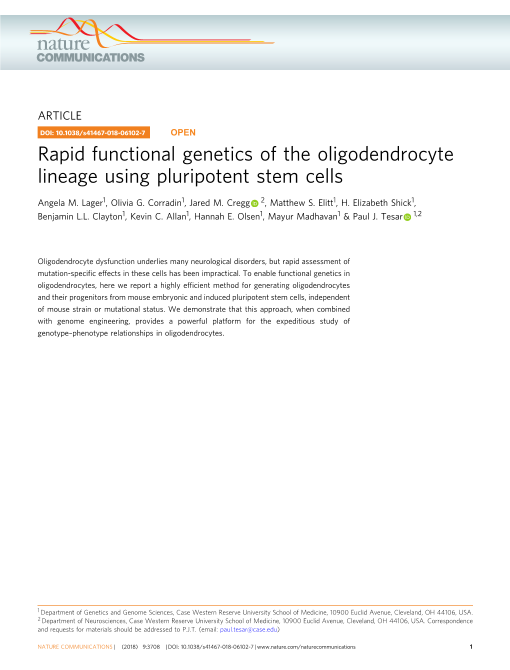 Rapid Functional Genetics of the Oligodendrocyte Lineage Using Pluripotent Stem Cells