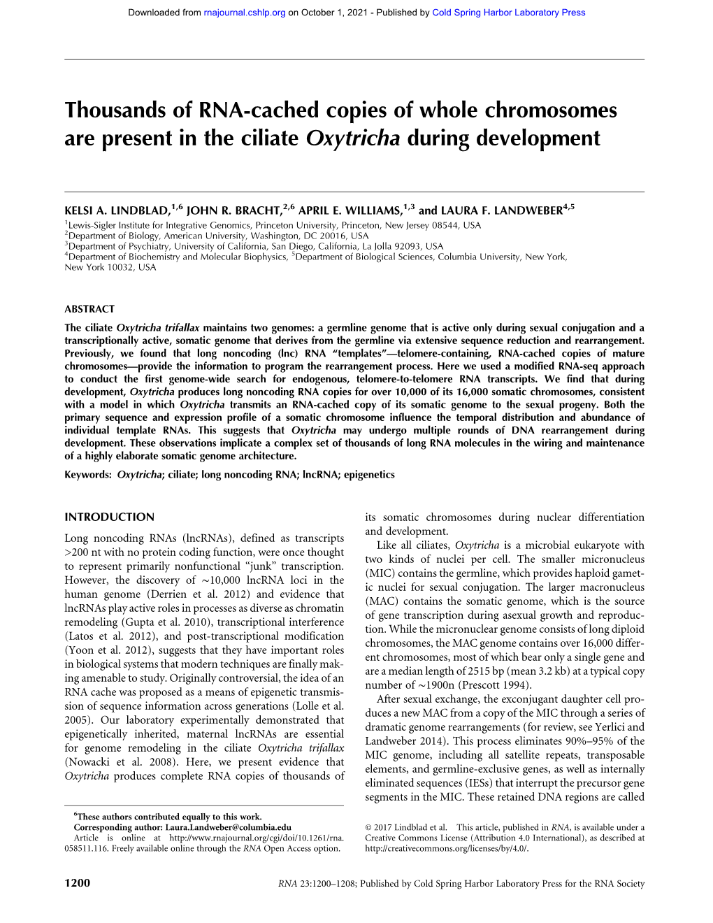 Thousands of RNA-Cached Copies of Whole Chromosomes Are Present in the Ciliate Oxytricha During Development