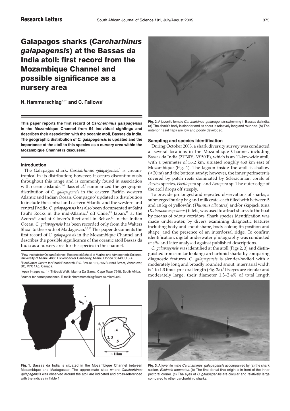 Galapagos Sharks (Carcharhinus Galapagensis) at the Bassas Da India Atoll: First Record from the Mozambique Channel and Possible Significance As a Nursery Area