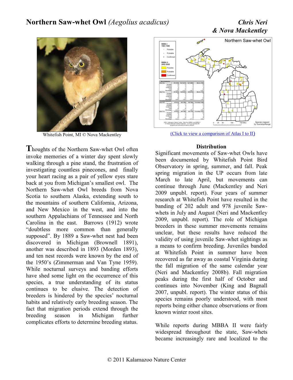 Northern Saw-Whet Owl (Aegolius Acadicus) Chris Neri & Nova Mackentley