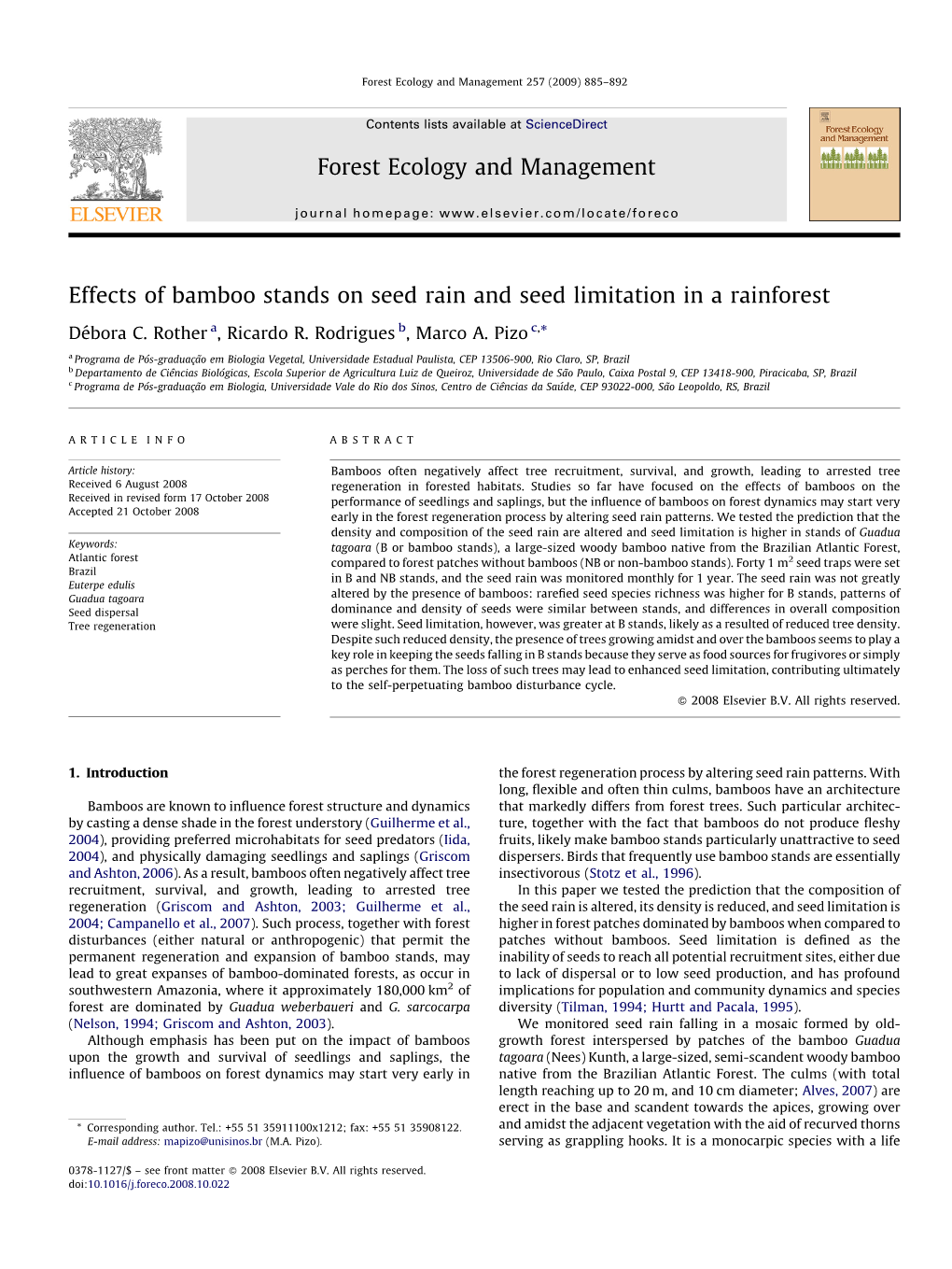 Effects of Bamboo Stands on Seed Rain and Seed Limitation in a Rainforest