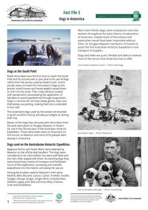 Fact File 3 Dogs in Antarctica