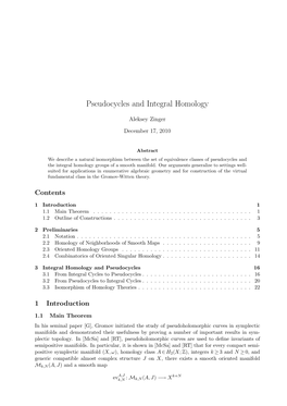 Pseudocycles and Integral Homology