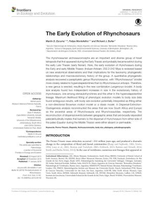 The Early Evolution of Rhynchosaurs