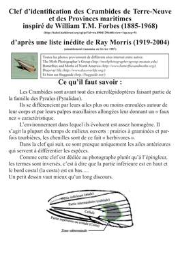 Clef D'identification Des Crambides De Terre-Neuve Et Des Provinces