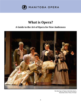 What Is Opera? a Guide to the Art of Opera for New Audiences