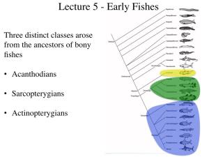 Lecture 5 - Early Fishes