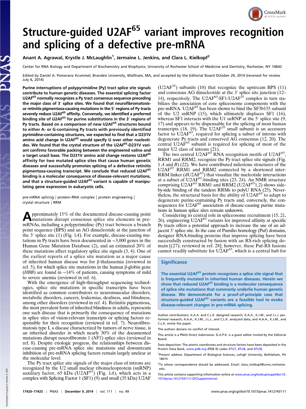 Structure-Guided U2AF Variant Improves Recognition and Splicing