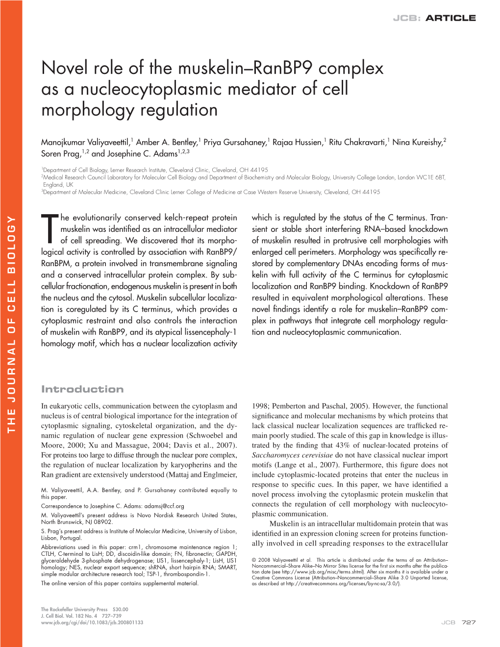 Novel Role of the Muskelin – Ranbp9 Complex As a Nucleocytoplasmic Mediator of Cell Morphology Regulation