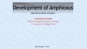 Development of Amphioxus Upto Formation of Coelom