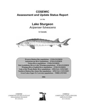 COSEWIC Assessment and Update Status Report on the Lake Sturgeon (Acipenser Fulvescens) in Canada