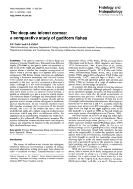 The Deep-Sea Teleost Cornea: a Comparative Study of Gadiform Fishes